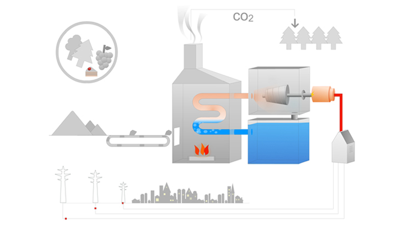 This diagram shows how biomass plants use organic materials such as biomass pellets to generate heat and boil water. The steam created turns turbines, that are connected to generators, creating energy.
