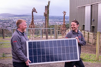 E.ON installers with solar panel at Edinburgh Zoo, with two giraffes in the background
