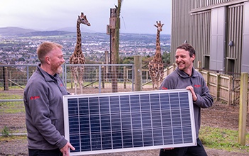 E.ON installers with solar panel at Edinburgh Zoo, with two giraffes in the background